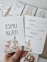 Mazuļa pirmā gada mēneškartīšu komplekts ar meža dzīvnieciņiem, cipariem un kartīti mēneša sasniegumu pierakstīšanai. Raudzību dāvana.